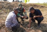 Pembinaan Lingkungan Hidup, Kodim Bojonegoro Tanam Ribuan Pohon Kayu Putih dan Balsa