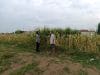 IMG-20260613-WA0181 Polisi Sambangi Petani Jagung di Triwung Lor, Siap Bantu Penanganan Hama hingga Pembersihan Lahan