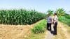 IMG-20260616-WA0251 Polisi Dampingi Petani Jagung di Sumberasih, Lahan 1,3 Hektare Diproyeksikan Panen Agustus 2026