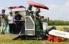 IMG-20260620-WA0007 Dukung Ketahanan Pangan, Dandim Bojonegoro Hadiri Wiwit Massal dan Panen Raya Padi