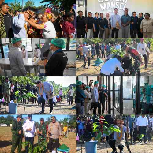 Perkuat Potensi Perkebunan Papua Barat, Wapres Tanam Bibit Kakao di Manokwari Selatan