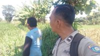 Polsek Wonoasih Monitoring Lahan Jagung 4.000 Meter Persegi, Perkuat Pendampingan Petani