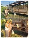 IMG_20260613_103454 Bhabinkamtibmas Bangil Pantau Budidaya Ternak Kambing di Latek, Dukung Program P2B Asta Cita