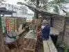 IMG-20260706-WA0055