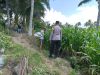 IMG-20260707-WA0195 Dukung Asta Cita Presiden, Kapolsek Candipuro Tinjau Pertumbuhan Jagung Advanta di Sumberrejo