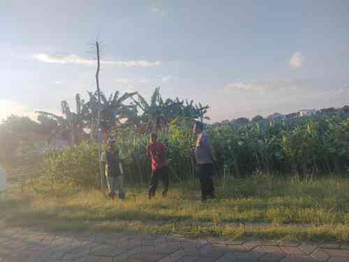 IMG-20260709-WA0166 Polri Hadir di Tengah Petani, Polsubsektor Kanigaran Perkuat Sinergi Ketahanan Pangan