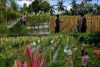 Bhabinkamtibmas Polsek Randuagung Turun ke Ladang, Perkuat Sinergi Petani Dukung Ketahanan Pangan Nasional