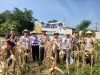 IMG-20260713-WA0008 Polsek Cikupa Dukung Program Ketahanan Pangan, Bhabinkamtibmas Desa Budimulya Hadiri Panen Jagung Kuartal II Program 1 Desa 2 Hektare