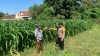IMG-20260717-WA0120
