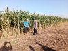 IMG-20260719-WA0055