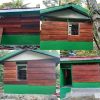 IMG-20260720-WA0036
