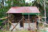 IMG-20260729-WA0032