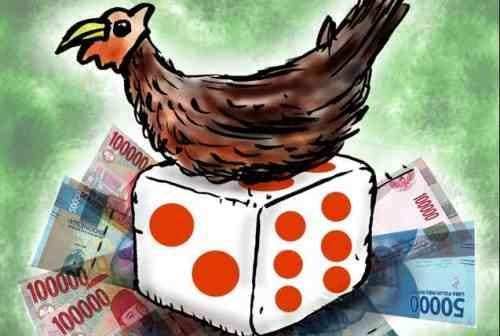 Dugaan Arena Judi di Ngancar Terungkap, Publik Tunggu Langkah Tegas Aparat