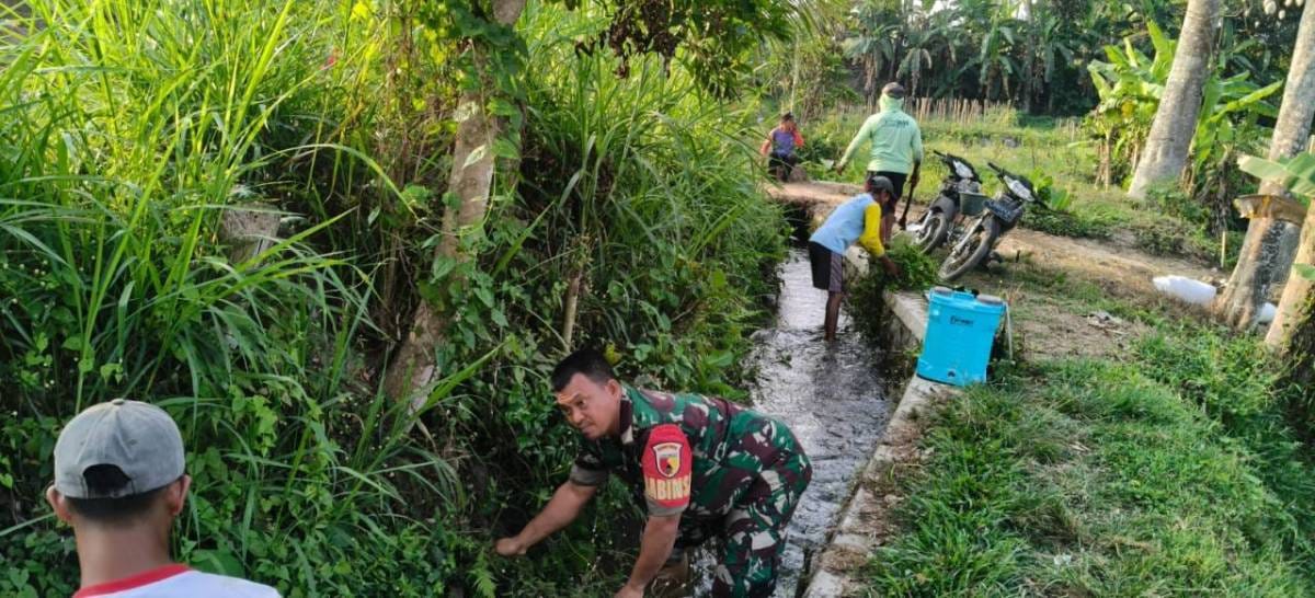 01 Dukung Ketahanan Pangan, Serda Nurhatib Dampingi Poktan Margo Rukun III Bersihkan Irigasi Sawah