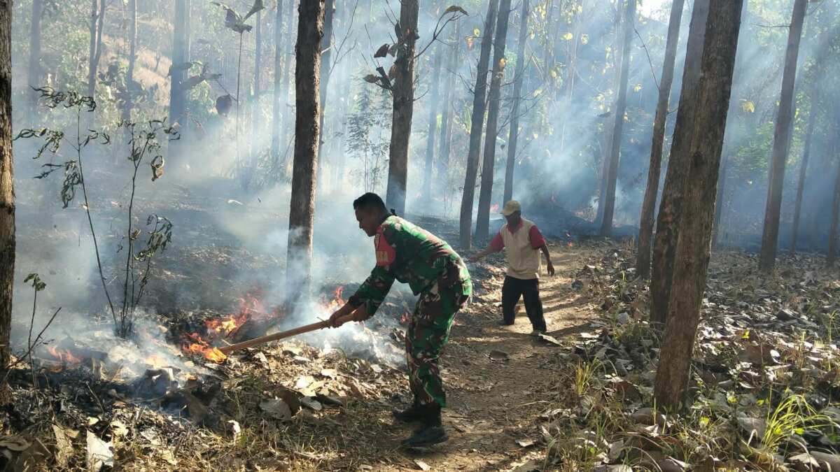 Tanggap Pancaroba, Babinsa Koramil Sutojayan Bersama Warga Padamkan Karhutla Di Gunung Sumber