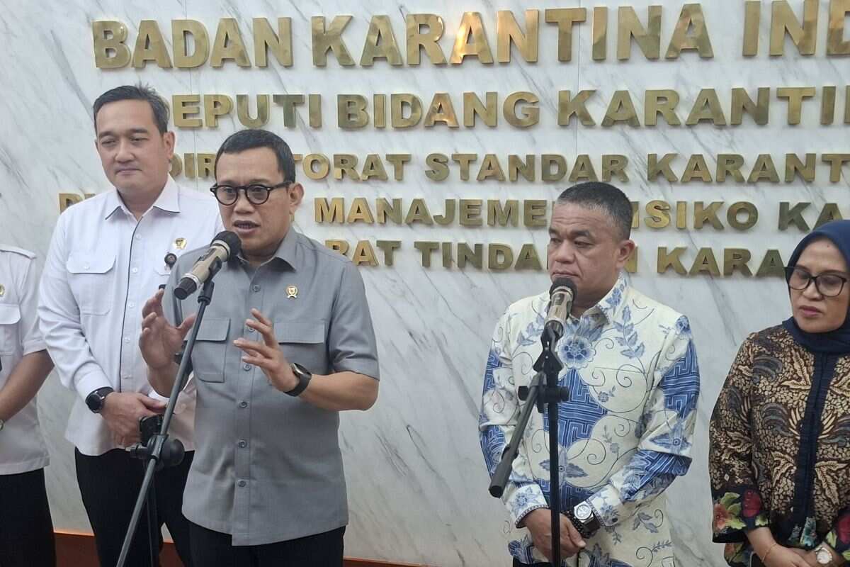 Barantin siap bantu carikan pasar ekspor bawang goreng dari Palu Barantin siap bantu carikan pasar ekspor bawang goreng dari Palu