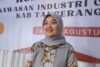 DPR dorong perizinan kawasan industri maksimal tiga bulan DPR dorong perizinan kawasan industri maksimal tiga bulan