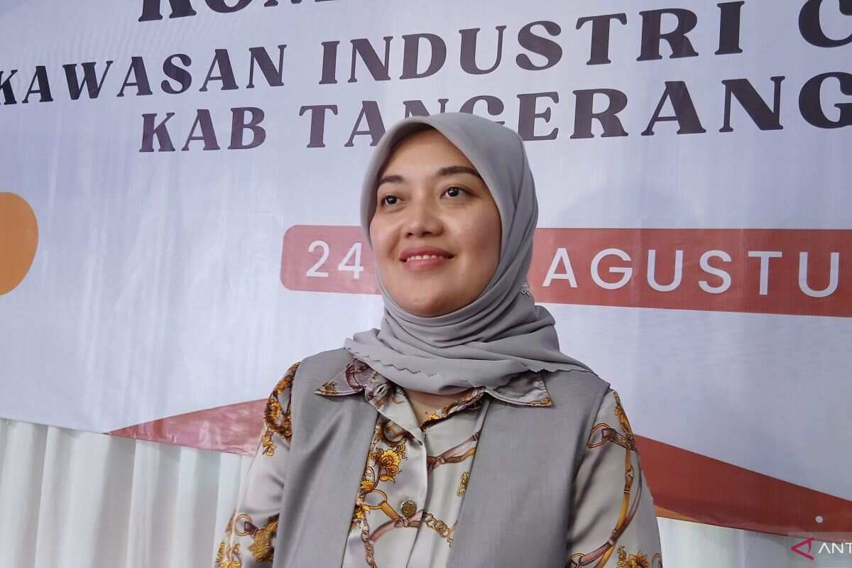 DPR dorong perizinan kawasan industri maksimal tiga bulan DPR dorong perizinan kawasan industri maksimal tiga bulan