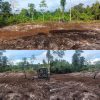 IMG-20260807-WA0041 TMMD Ke-129 Tuntaskan Pembukaan Lahan 1 Hektar, Siap Ditanami untuk Perkuat Ketahanan Pangan Kampung Sesor