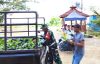 IMG-20260807-WA0066 Perkuat Ketahanan Pangan: Satgas TMMD 129 Bojonegoro Pasok Ratusan Bibit Sayuran untuk Warga Kesongo