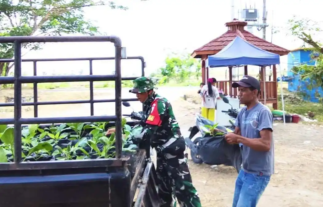 Perkuat Ketahanan Pangan: Satgas TMMD 129 Bojonegoro Pasok Ratusan Bibit Sayuran untuk Warga Kesongo