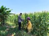 Polisi Sambangi Petani di Jrebeng Wetan, Dukung Program Ketahanan Pangan