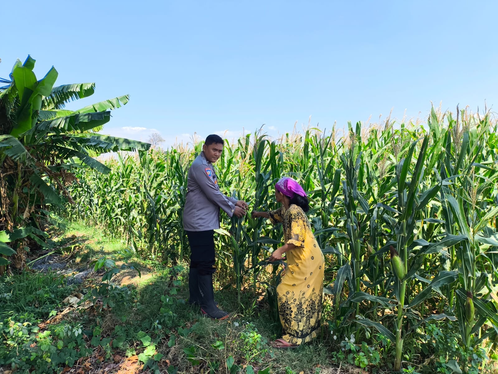 IMG-20260810-WA0327 Polisi Sambangi Petani di Jrebeng Wetan, Dukung Program Ketahanan Pangan