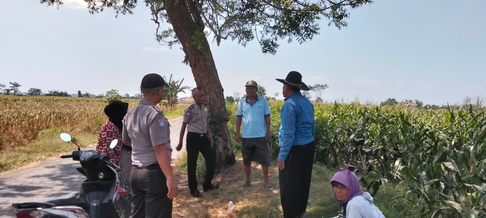 Polsek Sumberasih Aktif Pantau Lahan Jagung Binaan