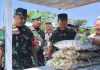 IMG-20260813-WA0018 Wajah Baru UMKM Desa Kesongo, Sentuhan TMMD 129 Bojonegoro Dorong Ekonomi Mandiri