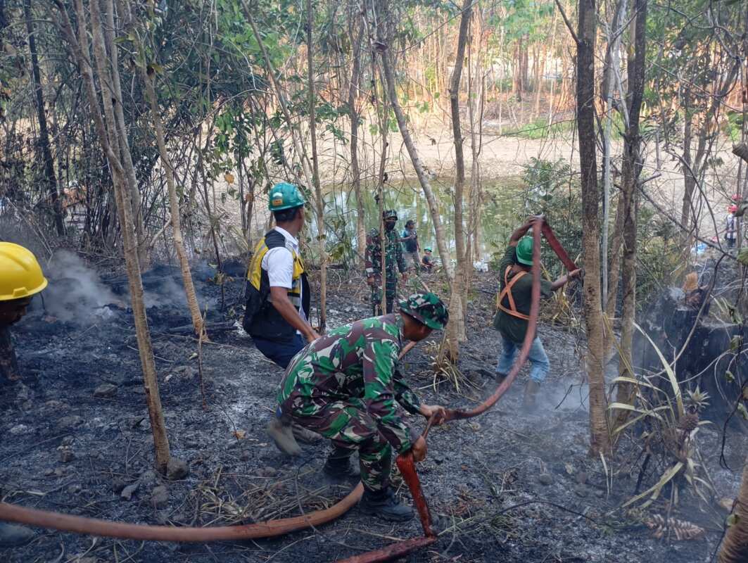 IMG-20260824-WA0132 Personil Koramil 1505-03/Maba Berjibaku Padamkan Kebakaran Hutan di Puncak Gunung.