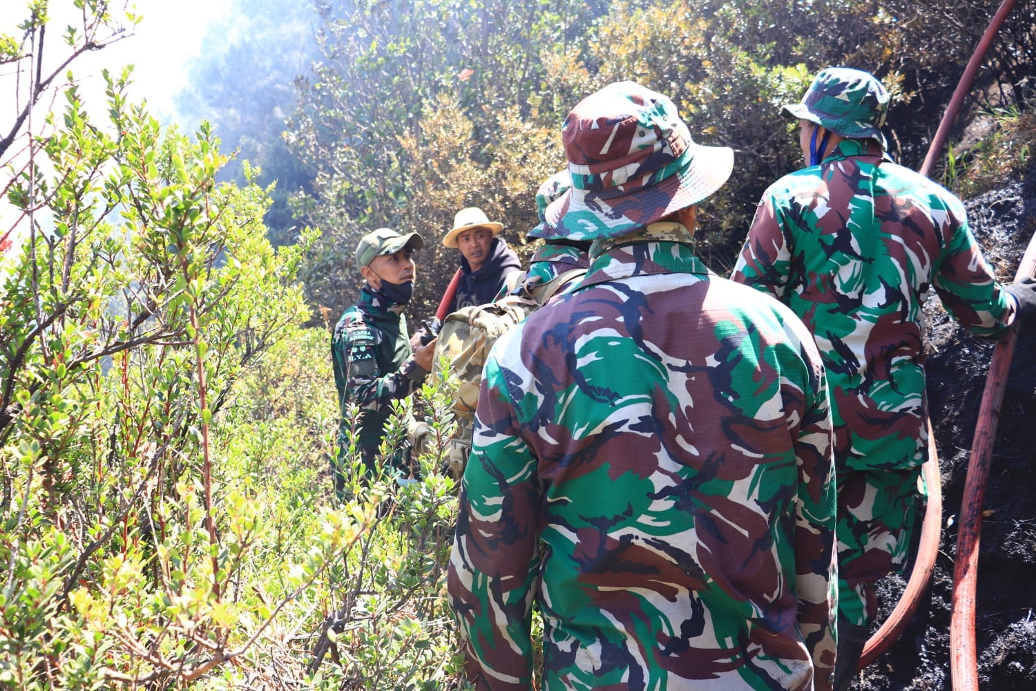 IMG-20260828-WA0031 Dandim 0820/Probolinggo Letkol Inf Ribut Yodo Apriantono Pimpin Langsung Pemadaman Karhutla Di Area Gunung Bromo