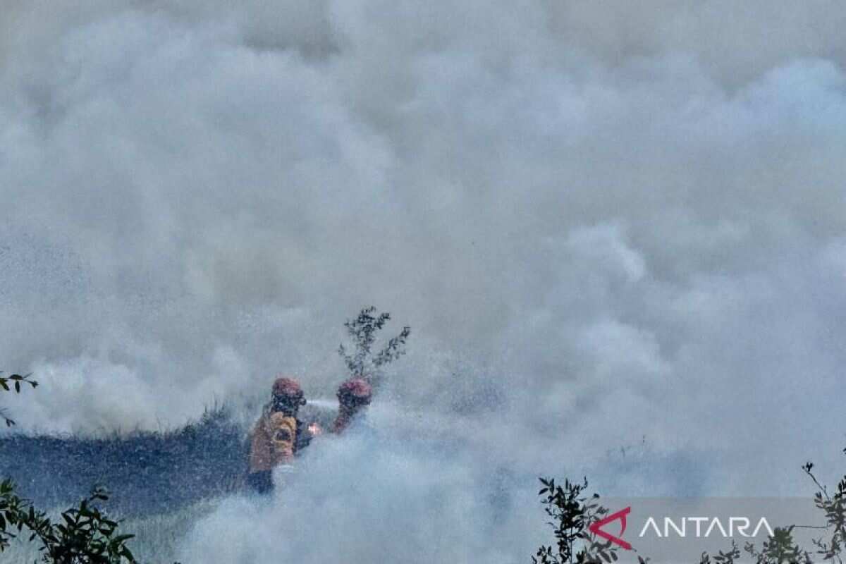 Kenaikan Kasus ISPA di Kalimantan Selatan di Tengah Kebakaran Hutan