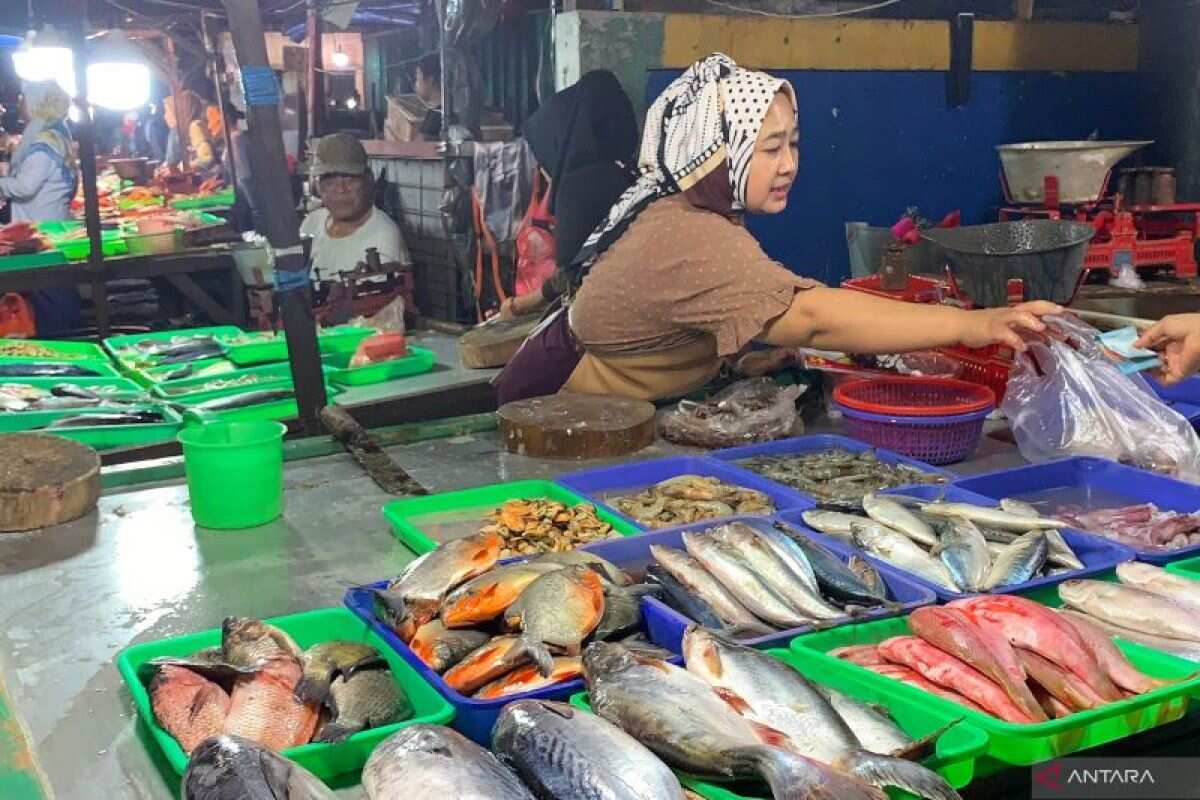193 pedagang ikan Kramat Jati direlokasi ke Lokbin mulai pekan ini 193 pedagang ikan Kramat Jati direlokasi ke Lokbin mulai pekan ini