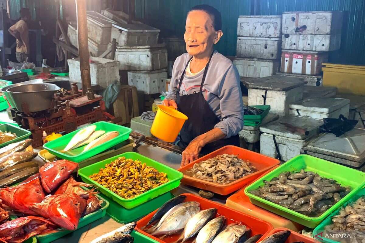 Lokbin Kramat Jati mulai diaspal jelang relokasi 193 pedagang ikan Lokbin Kramat Jati mulai diaspal jelang relokasi 193 pedagang ikan