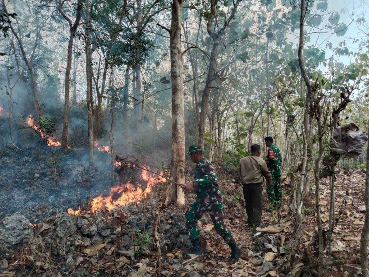 TNI Kerahkan 14.167 Personel Tangani Karhutla di Sejumlah Wilayah