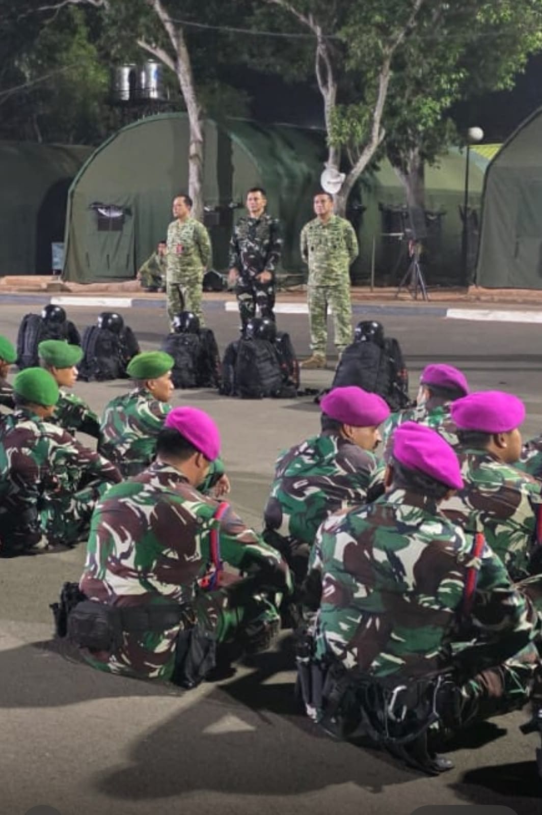 TNI Kerahkan Satgas Khusus Percepat Penanganan Karhutla di Riau