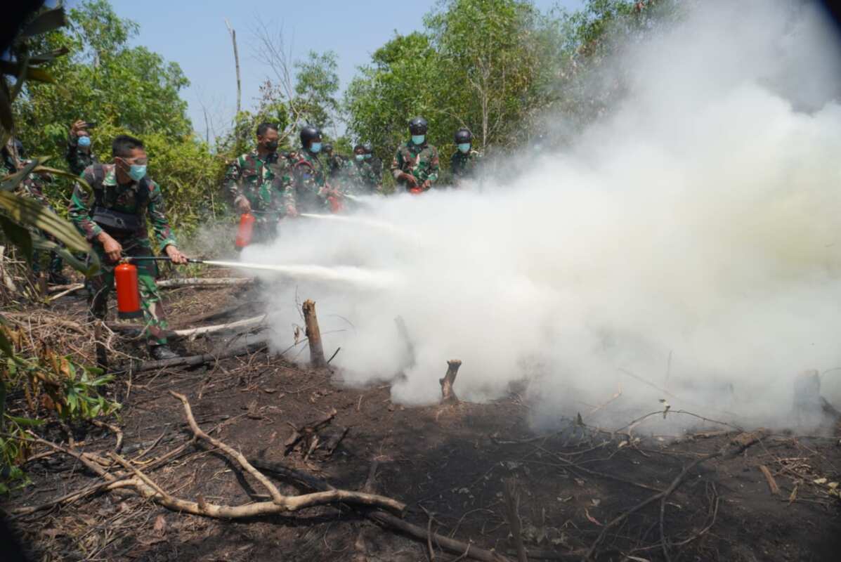 WhatsApp Image 2026-08-26 at 15.08.36(1) TNI Percepat Penanganan Karhutla Way Kambas, Tim Alfa Diterjunkan dari Udara