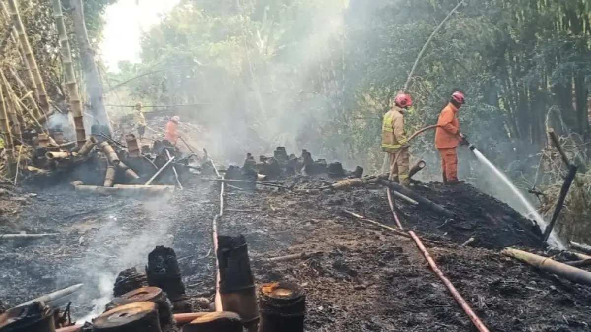 Peningkatan Penindakan Karhutla: 89 Tersangka Perorangan Teridentifikasi
