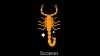 Ramalan Zodiak Scorpio: Peluang Emosional dan Keuangan di Awal Pekan