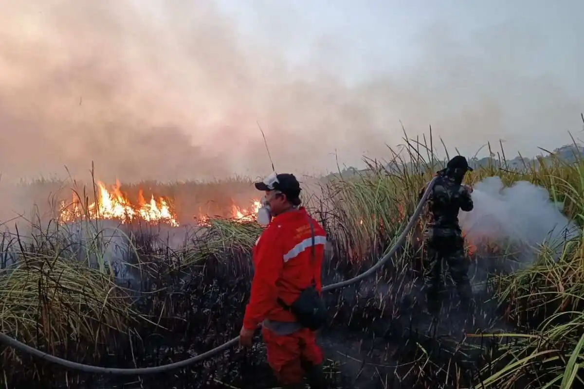 Tindakan Responsif Terhadap Kebakaran Hutan dan Lahan di Taman Nasional Way Kambas