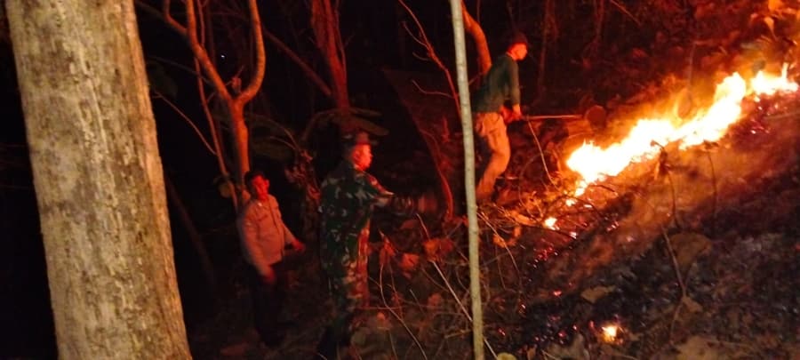 Aksi Sigap Babinsa Dan Warga Padamkan Kebakaran Hutan Jati Di Pagerwojo Blitar