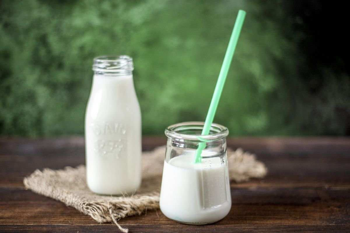 Memahami Intoleransi Laktosa dan Konsumsi Susu