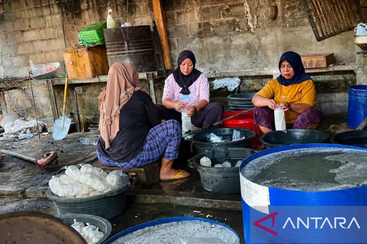 Perlindungan Ragi Tempe Sebagai Aset Biologis Indonesia