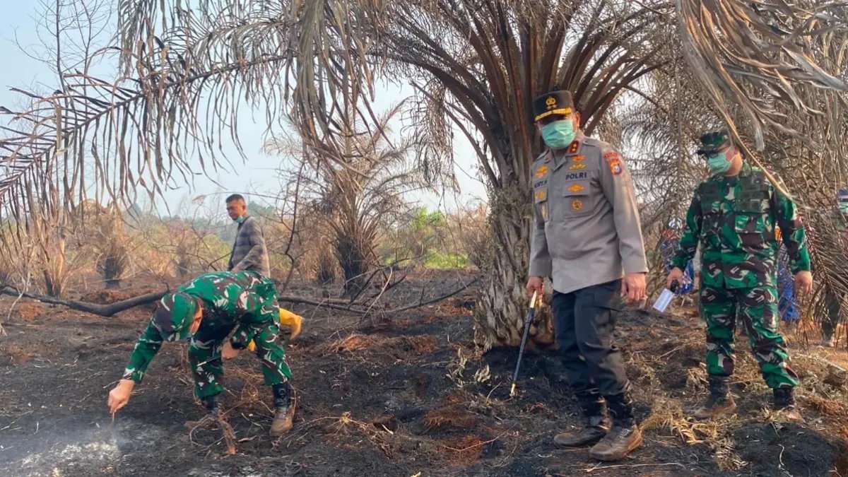 Upaya Penanganan Kebakaran Hutan dan Lahan di Riau