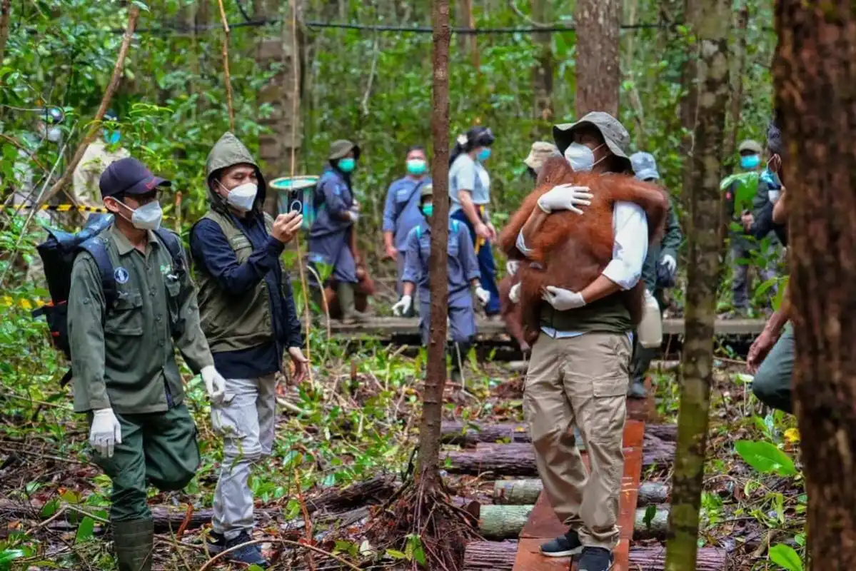 Upaya Penyelamatan Satwa Liar dalam Menghadapi Karhutla
