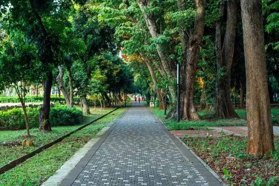 Destinasi Taman Malam di Jakarta yang Menawan Destinasi Taman Malam di Jakarta yang Menawan