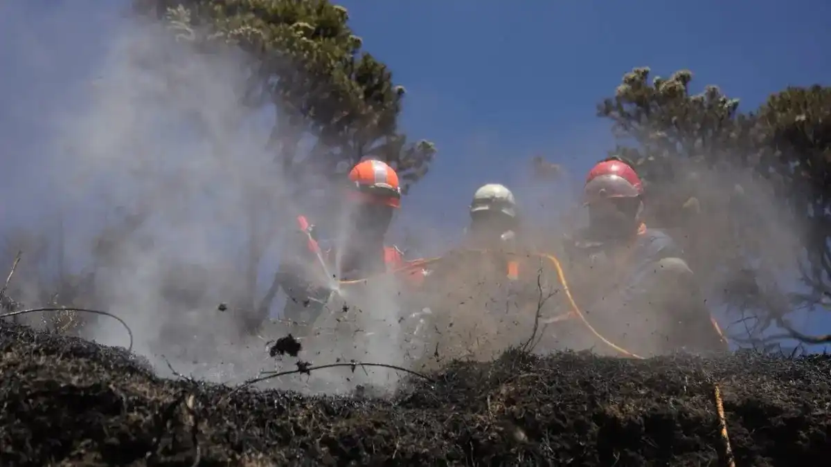 Upaya Pemadaman Kebakaran Hutan di Taman Nasional Bromo Tengger Semeru