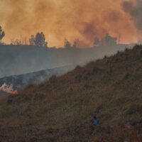 Penutupan Aktivitas Wisata di Gunung Bromo Akibat Kebakaran Penutupan Aktivitas Wisata di Gunung Bromo Akibat Kebakaran