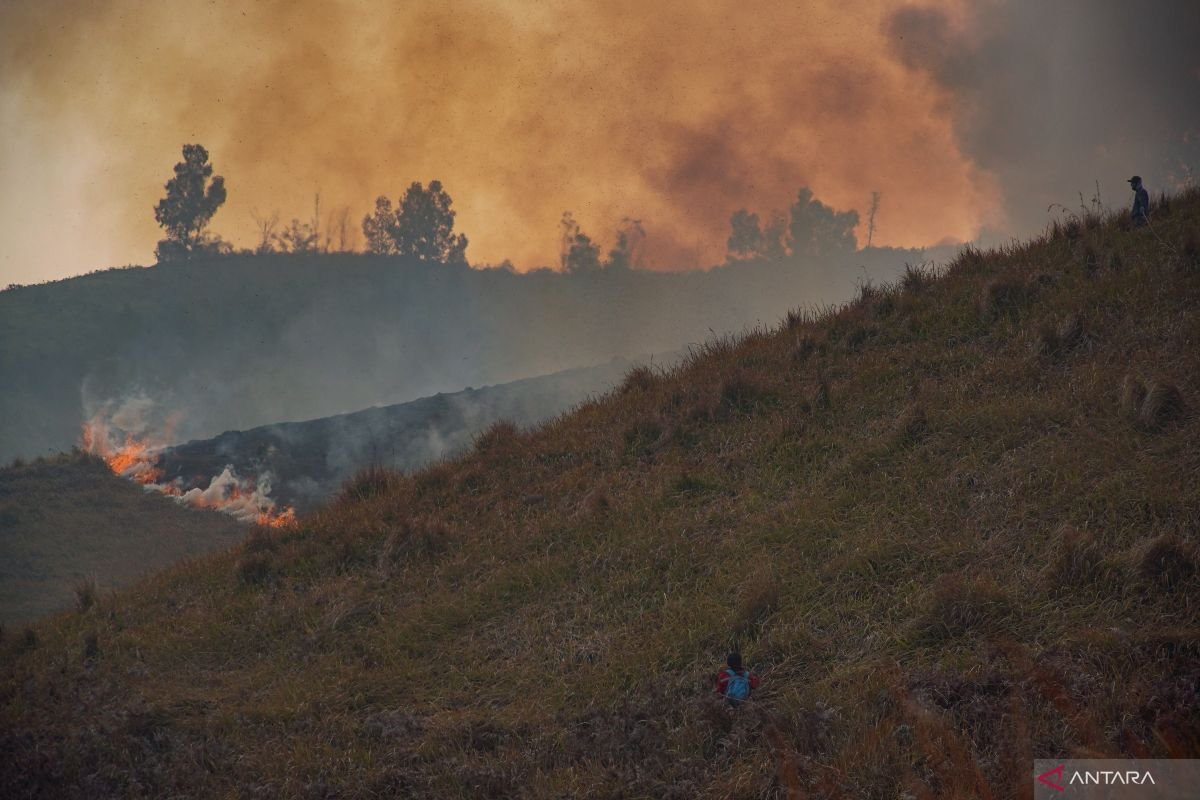 Penutupan Aktivitas Wisata di Gunung Bromo Akibat Kebakaran