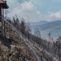 Kebakaran Hutan di Jawa Timur: Upaya Pemadaman dan Penutupan Wisata Kebakaran Hutan di Jawa Timur: Upaya Pemadaman dan Penutupan Wisata